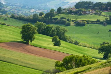 Kalp şeklinde beyaz kalp, sevgililer günü konsepti