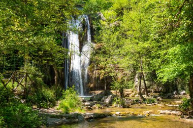 Ağaçların arasındaki ormanda güzel bir şelale