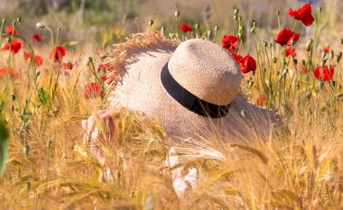 Yaz otlağında güzel, parlak, vahşi çiçekler