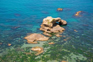 Deniz kıyısında ve kayalıklarda, yaz yolculuklarında