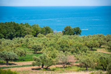 Yazın güzel deniz kıyıları, panoramik manzara