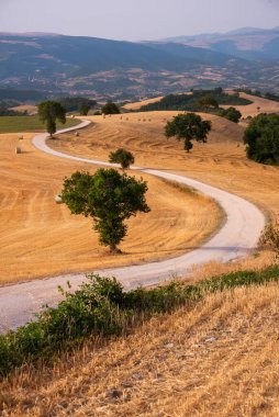 Kırsal alanda tarlalar arasında dolambaçlı bir yol var.
