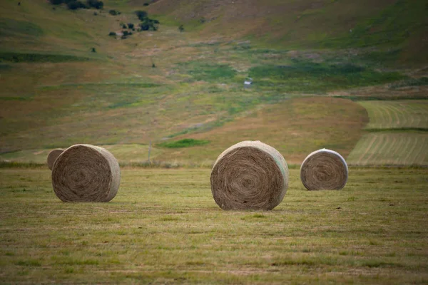 Rural Landscape Hay Bales Summer — Stock Photo, Image
