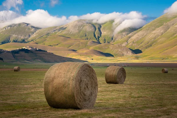 夏には干し草の山のある田園風景 — ストック写真