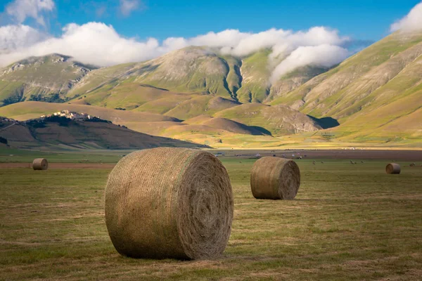 Paesaggio Rurale Con Balle Fieno Estate — Foto Stock