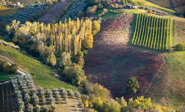 Paisaje Rural Con Tierras Agrícolas Colina — Foto de Stock