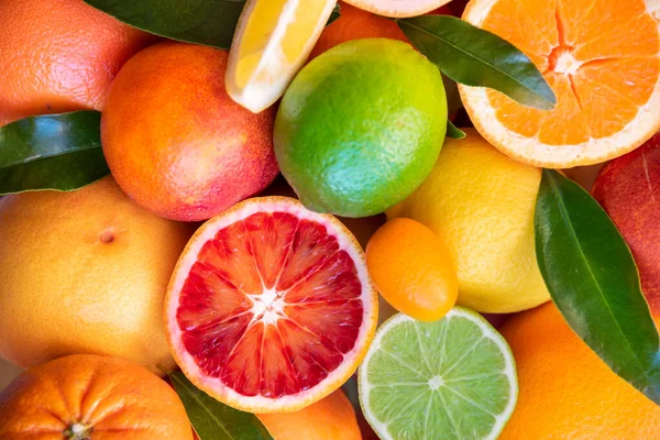 新鲜的各种柑橘类水果 有叶子 橙子和柚子 — 图库照片