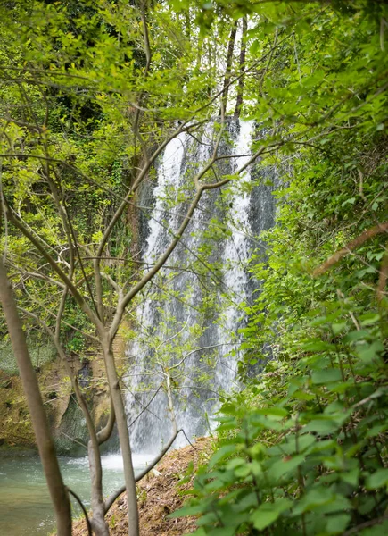 木々の間の森の美しい滝 — ストック写真