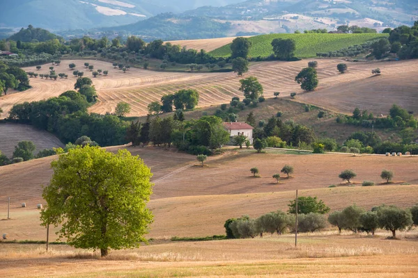 Paesaggio Rurale Con Campi Agricoli Case Alberi — Foto Stock