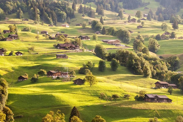 美しい山々の風景を撮影し — ストック写真