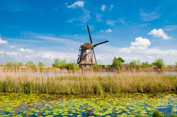 beautiful view of windmill over the blue sky background