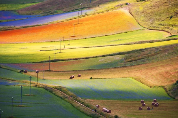 Красивий Краєвид Полями Горами — стокове фото