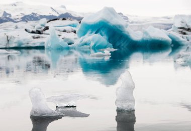 Jokulsarlon, İzlanda, İskandinavya-Mart 2019: Göldeki Kutup Ayısı