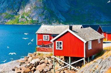 Norveç, 18 Ağustos 2016: Lofoten adalarında ahşap evleri olan Norveç fiyortlarının güzel manzarası