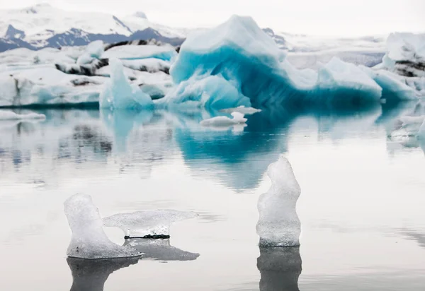 Jokulsarlon Iceland Scandinavia March 2019 Polar Bear Lagoon Stock Image