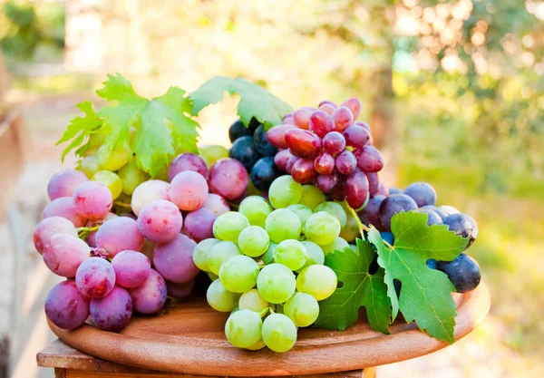 Red Grapes Wooden Barrel — Stock Photo, Image