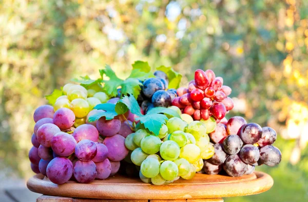 Grapes Basket Wooden Table — Stock Photo, Image