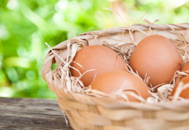 bir sepet içinde tavuk yumurta