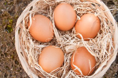 hasır sepet içinde yumurta