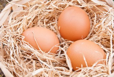 Hasır sepet içinde kahverengi yumurta