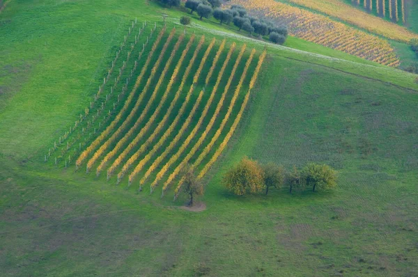 Rural Landscape Farm Fields — Stock Photo, Image