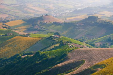 Üzüm bağları, şaraphaneler, kırsal alanlar.