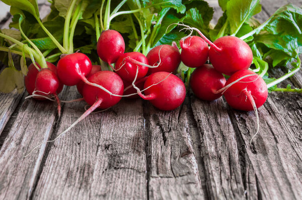 bunch of fresh red radish on wooden background