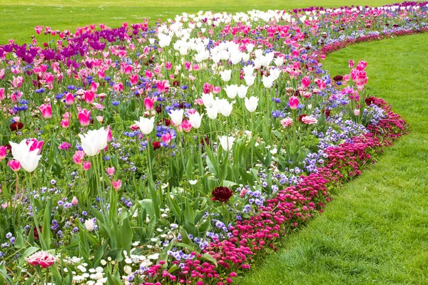 Szenische Aufnahme Schöner Blumen Garten — Stockfoto