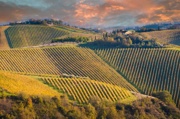 Winnice Winnica Regionie Chianti Prowincja Włoch — Zdjęcie stockowe