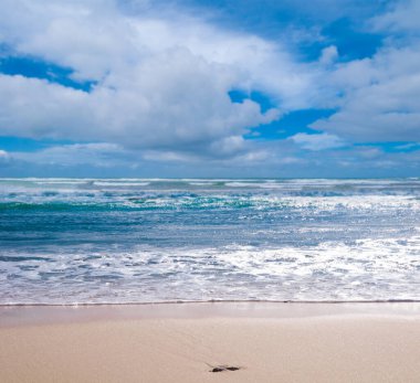 Deniz dalgaları ve mavi gökyüzü olan güzel sahil 