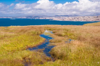 Güzel deniz manzarası ve çimenli uçurumlar 