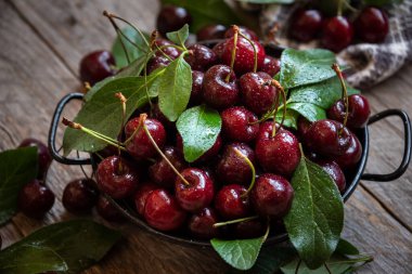 Yeşil yapraklı taze, koyu kirazlar. 