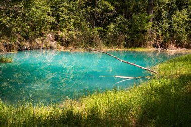 Güzel göl manzarası