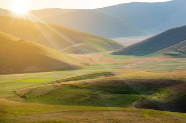 Yazın yeşil tarlaları olan güzel bir vadi.