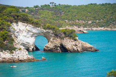 Yazın kayalık kıyıları olan güzel bir deniz.