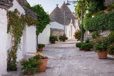 Alberobello, Apulian bölgesinde çiçekli tipik trulli evler, İtalya