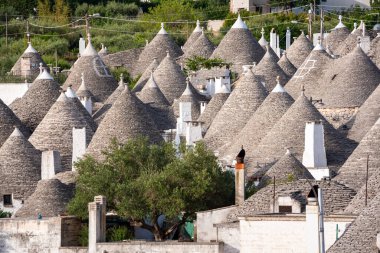 tipik Trulli evleri Alberobello, Apulian bölgesi, İtalya