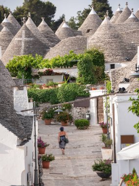 Alberobello, Apulian bölgesinde çiçekli tipik trulli evler, İtalya