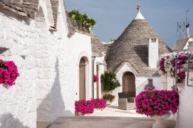 Alberobello, Apulian bölgesinde çiçekli tipik trulli evler, İtalya