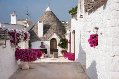 Alberobello, Apulian bölgesinde çiçekli tipik trulli evler, İtalya
