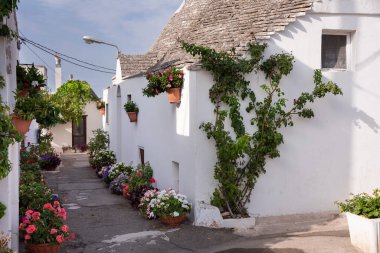 Alberobello, Apulian bölgesinde çiçekli tipik trulli evler, İtalya