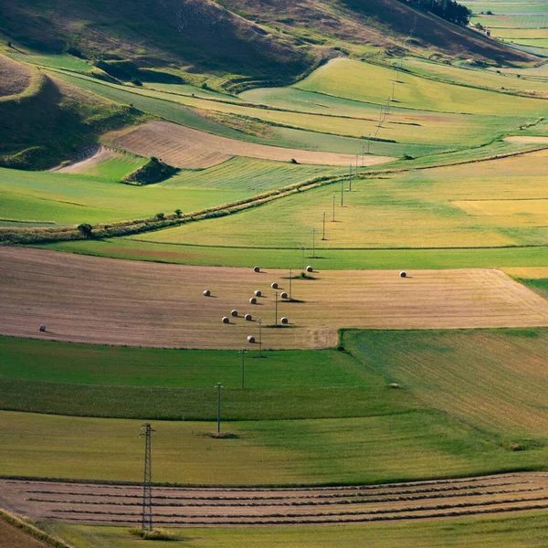 Belo Vale Com Campos Agrícolas Verdes Verão — Fotografia de Stock