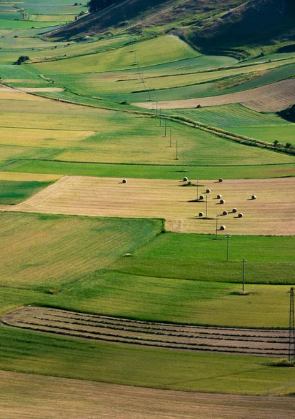 Hermoso Valle Con Campos Agrícolas Verdes Verano —  Fotos de Stock