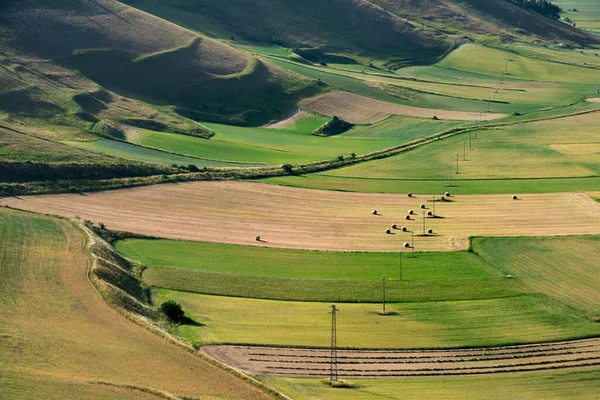 Gyönyörű Völgy Zöld Mezőgazdasággal Nyáron — Stock Fotó