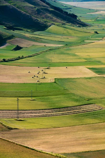 여름에 농경지가 아름다운 골짜기 — 스톡 사진