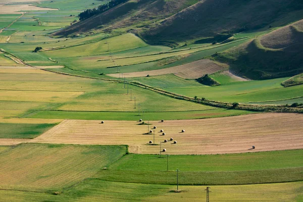 Schönes Tal Mit Grünen Landwirtschaftlichen Feldern Sommer — Stockfoto