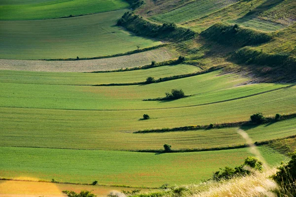 Hermoso Valle Con Campos Agrícolas Verdes Verano — Foto de Stock