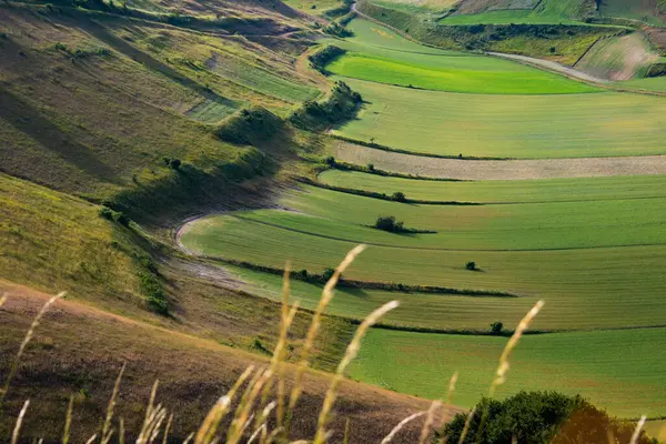 Prachtige Vallei Met Groene Landbouwvelden Zomer — Stockfoto