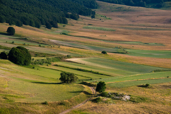 Beautiful valley with green agricultural fields in summer