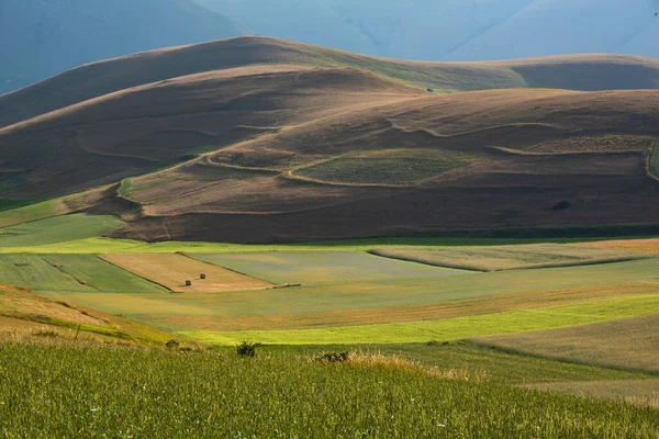 Hermoso Valle Con Campos Agrícolas Verdes Verano — Foto de Stock